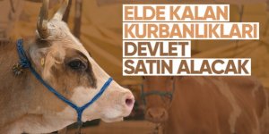 Et ve Süt Kurumu satılmayan kurbanlıkları alacak
