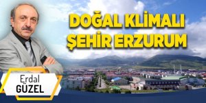 DOĞAL KLİMALI ŞEHİR ERZURUM
