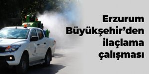 Erzurum Büyükşehir ilaçlıyor