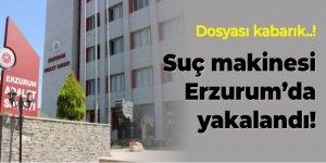 Erzurum Polisinden kaçamadı: Suç makinesi yakalandı