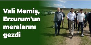 Vali Memiş, Erzurum'un meralarını gezdi...