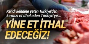 Türkiye yine et ithal edecek