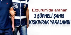 Erzurum'da asayiş operasyonu! 3 zanlı yakalandı