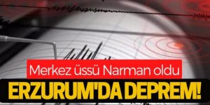Erzurum'da 4.1 büyüklüğünde deprem