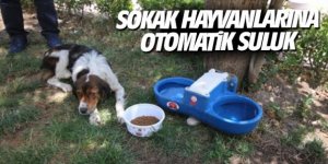 SOKAK HAYVANLARI İÇİN OTOMATİK SULUK