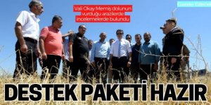 Vali Memiş: Her türlü yardımı sağlayacağız