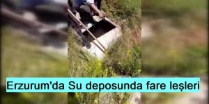 Erzurum'da İçme Suyu Deposundan Fare Leşleri Çıktı