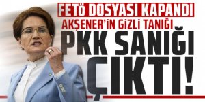 Meral Akşener'in FETÖ soruşturmasının gizli tanığı PKK'lı çıktı!