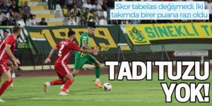Şanlıurfaspor Erzurumspor Karşılaşmasında Gol Sesi Çıkmadı