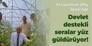 Oltu'da devlet destekli seralar yüz güldürüyor...