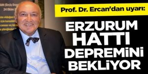 Deprem uzmanı Prof. Dr. Ercan açıkladı: İşte en büyük 'deprem çekincesi' olan iller...