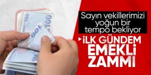 Emekli maaş düzenlemesi ekimde Meclis'e geliyor