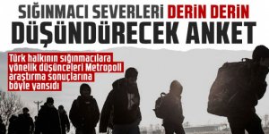 Sığınmacı severleri derin derin düşündürecek anket!