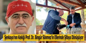 Şenkaya'nın Kekiği Prof. Dr. Bingür Sönmez'in Ellerinde Şifaya Dönüşüyor