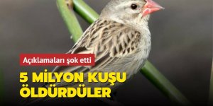 Açıklamaları şok etti:5 milyon kuşu öldürdüler