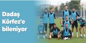 Dadaş Körfez'e bileniyor