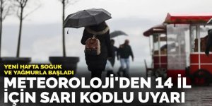 Meteoroloji'den 14 il için sarı kodlu uyarı: Aralarında Erzurum'da var