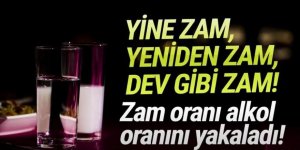 Bir rakı grubuna daha dev zam!