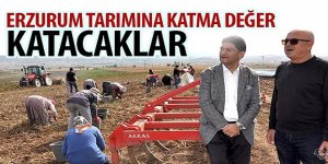 Başkan Oral, mor patates hasatına katıldı