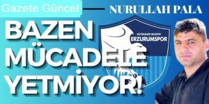 Pala yazdı: Bazen mücadele yetmiyor!