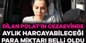 Dilan Polat'ın cezaevinde harcayabileceği para ortaya çıktı