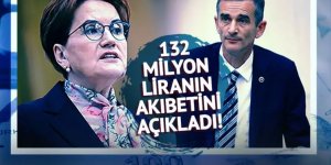 İYİ Parti'de sular durulmuyor! 132 milyon lira kriz sonrası