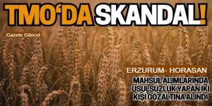 Horasan'da yolsuzluk: 2 gözaltı