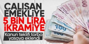 Çalışan emeklilere 5 bin lira ikramiye Meclis komisyonundan geçti