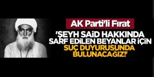 AK Parti'li Fırat: 'Şeyh Said hakkında sarf edilen beyanlar için suç duyurusunda bulunacağız!'