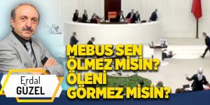 MEBUS SEN ÖLMEZ MİSİN? ÖLENİ GÖRMEZ MİSİN?