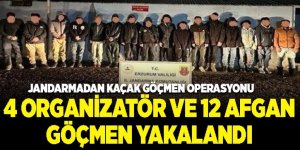 Erzurum'da Jandarmadan kaçak göçmen operasyonu