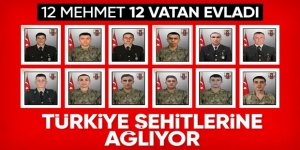 Türkiye'nin 12 kahraman şehidi
