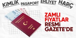 2024 Yeni kimlik, pasaport, ehliyet... Yeni dönem başladı!