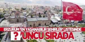 Erzurum 'En Yaşanabilir Şehirler' listesinde bakın kaçıncı sırada