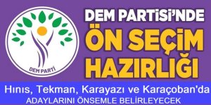 DEM Parti'den ön seçim kararı