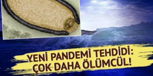 Sibirya'da keşfedildi! Çok daha ölümcül yeni salgın tehdidi