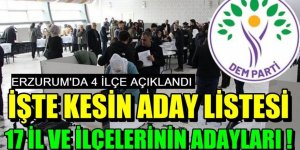 DEM Parti'nin açıklanan eşbaşkan adayları tam listesi: Erzurum'da 4 ilçe