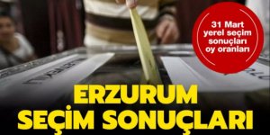 Erzurum 2019 Yerel Seçim Seçim Sonuçları