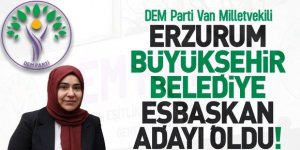 Van Vekili, Erzurum Büyükşehir Belediye Eşbaşkan adayı oldu!