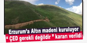 Uyan ERZURUM sıra sana geldi: Erzurum'a altın madeni kuruluyor: 'ÇED gerekli değildir' kararı verildi