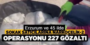 Erzurum 45 ilde 'Narkoçelik-2' operasyonu