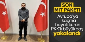 MİT ve Emniyet'ten PKK'nın sözde sorumlusuna operasyon