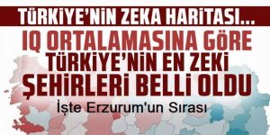 IQ ortalamasına göre Türkiye'nin en zeki şehirleri belli oldu