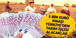 Ayda 3 bin euro maaş! Türkiye'den mevsimlik tarım işçisi alacaklar!