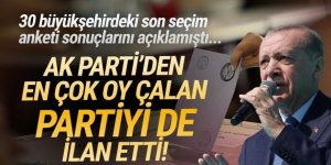 Ünlü anketçi AK Parti'den en çok oy çalan partiyi açıkladı