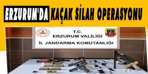 Erzurum'da kaçak silah operasyonu