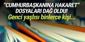 ''Cumhurbaşkanına hakaret'' dosyaları dağ oldu