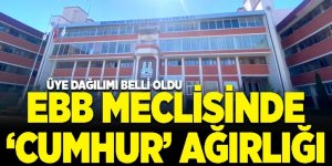 Erzurum'da Çoğunluk Cumhur İttifakı'nda ama!