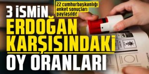 22 cumhurbaşkanlığı anket sonuçları paylaşıldı!