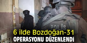 BOZDOĞAN-31 Operasyonu